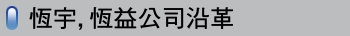 恆宇,恆益公司沿革